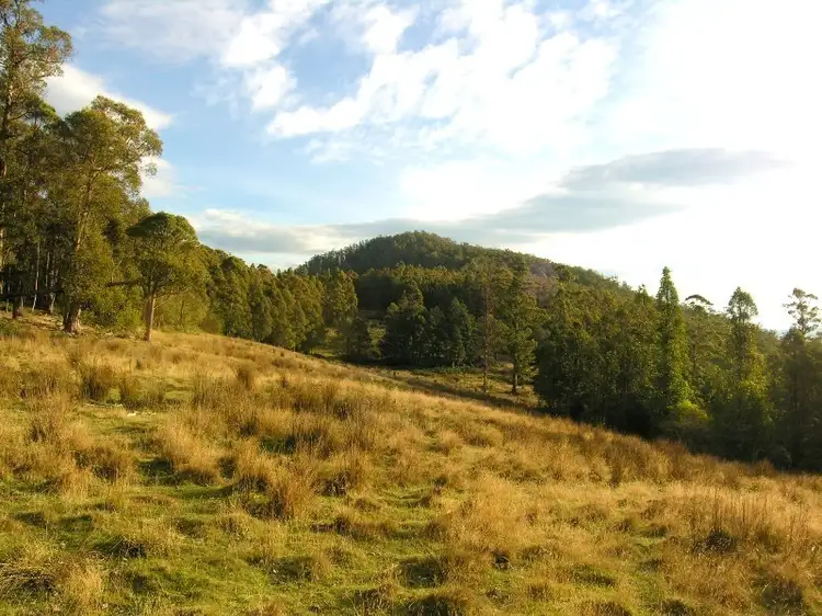 Second view of Homely land listing, 214410/1 Halls Track Road, Pelverata TAS 7150