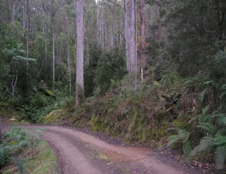 Sixth view of Homely land listing, Reeves Road, Pelverata TAS 7150