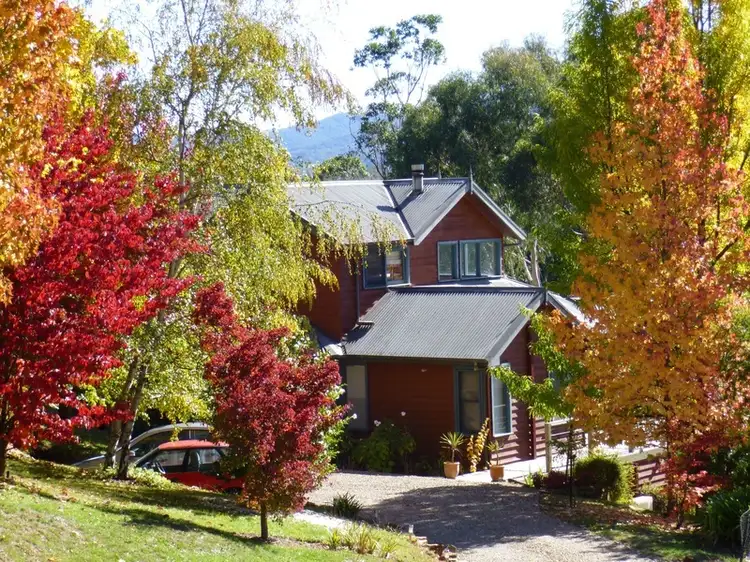Main view of Homely house listing, 4 Cindy Court, Bright VIC 3741