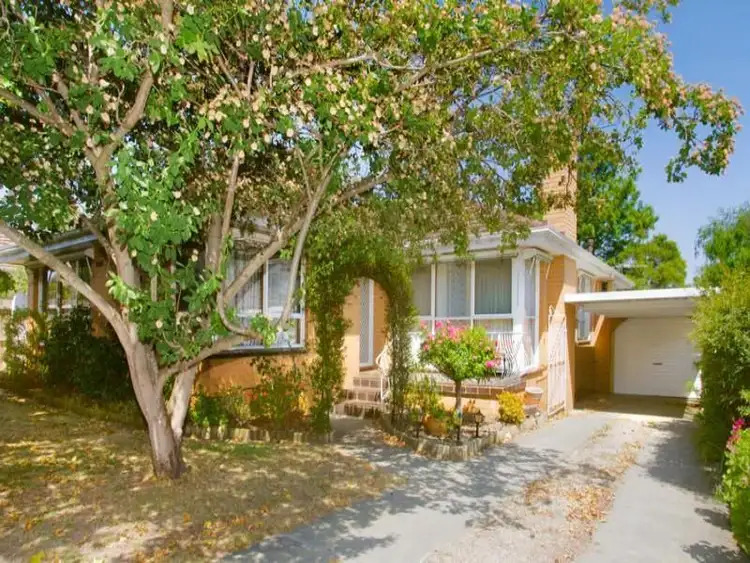 10 Araluen Parade, Belmont VIC 3216