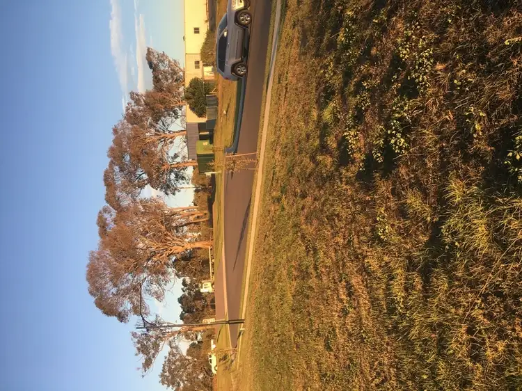 Third view of Homely land listing, 19 Birtle Street, The Oaks NSW 2570