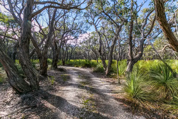 Fifth view of Homely house listing, 110 Jarosite Road, Bells Beach VIC 3228