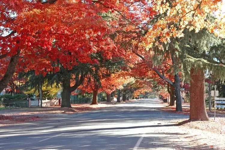 Seventh view of Homely townhouse listing, 4/94 Delany Avenue, Bright VIC 3741