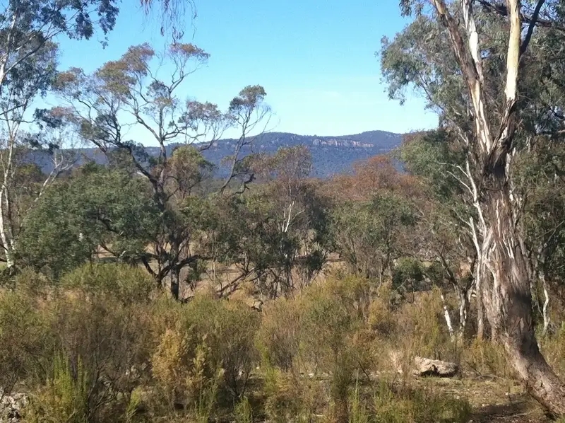 Main view of Homely land listing, 79 Cudgegong Rd, Rylstone NSW 2849