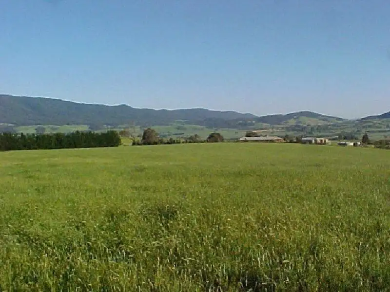 Main view of Homely rural property listing, 311 Black Flats Road, Mudgegonga VIC 3737