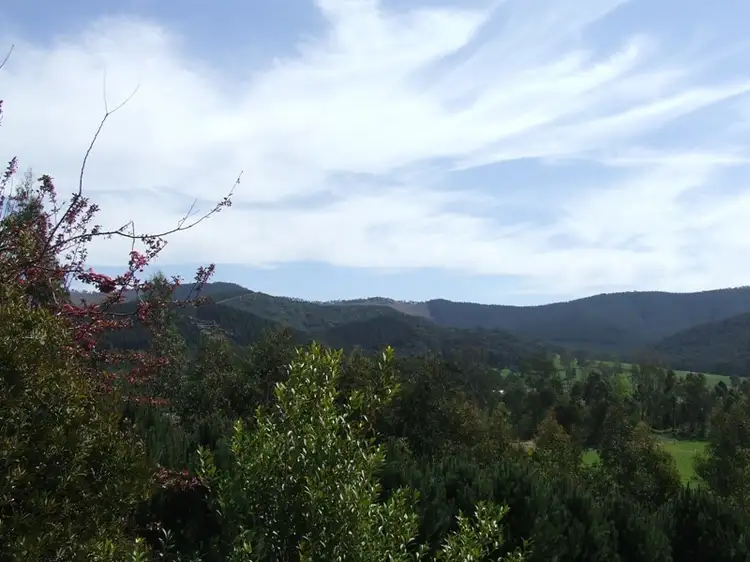 Third view of Homely rural property listing, 623 Buffalo River Road, Myrtleford VIC 3737