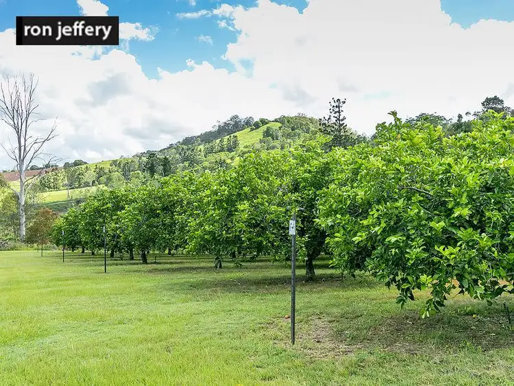 Second view of Homely rural property listing, 372 Kandanga Amamoor Road, Amamoor QLD 4570