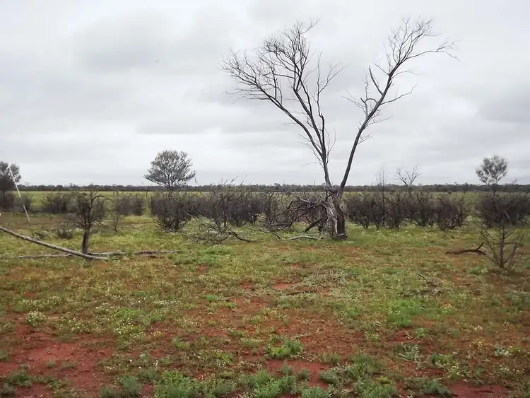 Second view of Homely rural property listing, . Irrara, Cunnamulla QLD 4490