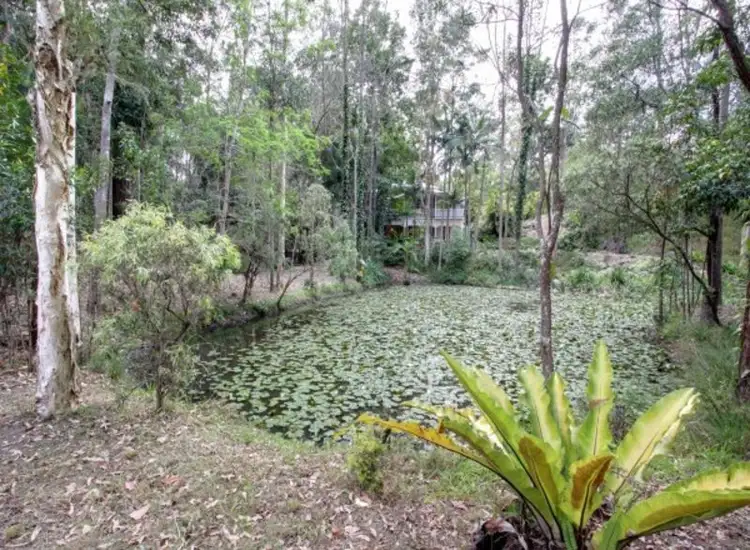 Seventh view of Homely house listing, 31 Airlie Road, Pullenvale QLD 4069