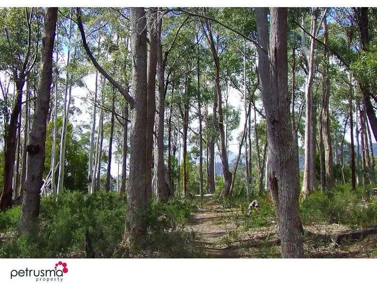 Fourth view of Homely land listing, 116 Jefferys Track, Lachlan TAS 7140