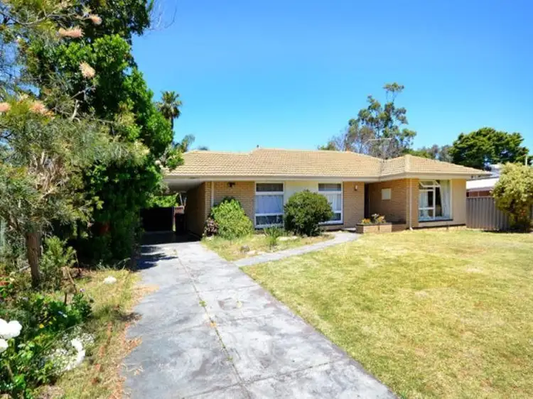 Second view of Homely house listing, 37 Pascoe Street, Karrinyup WA 6018