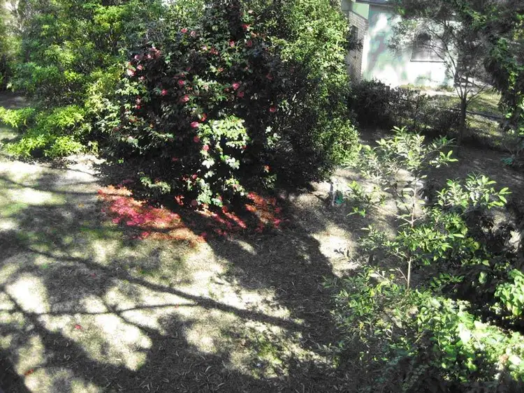 Second view of Homely house listing, 12 James Crescent, Nelson Bay NSW 2315
