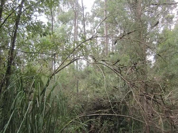 Second view of Homely land listing, 8444 Huon Highway, Southport TAS 7109