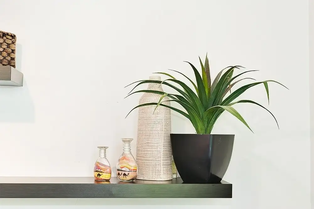 Main view of Homely townhouse listing, 13/42 Cope Street, Lane Cove NSW 2066