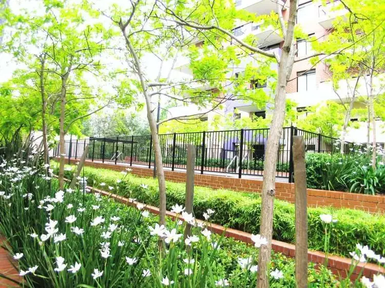 Third view of Homely apartment listing, 1602/41-45 Waitara Ave, Waitara NSW 2077