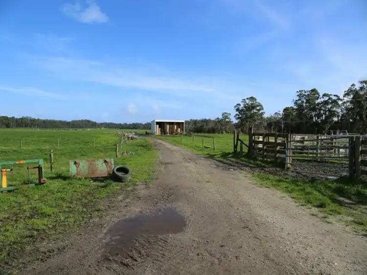Fifth view of Homely rural property listing, 355 Goldings Road, Scotchtown TAS 7330