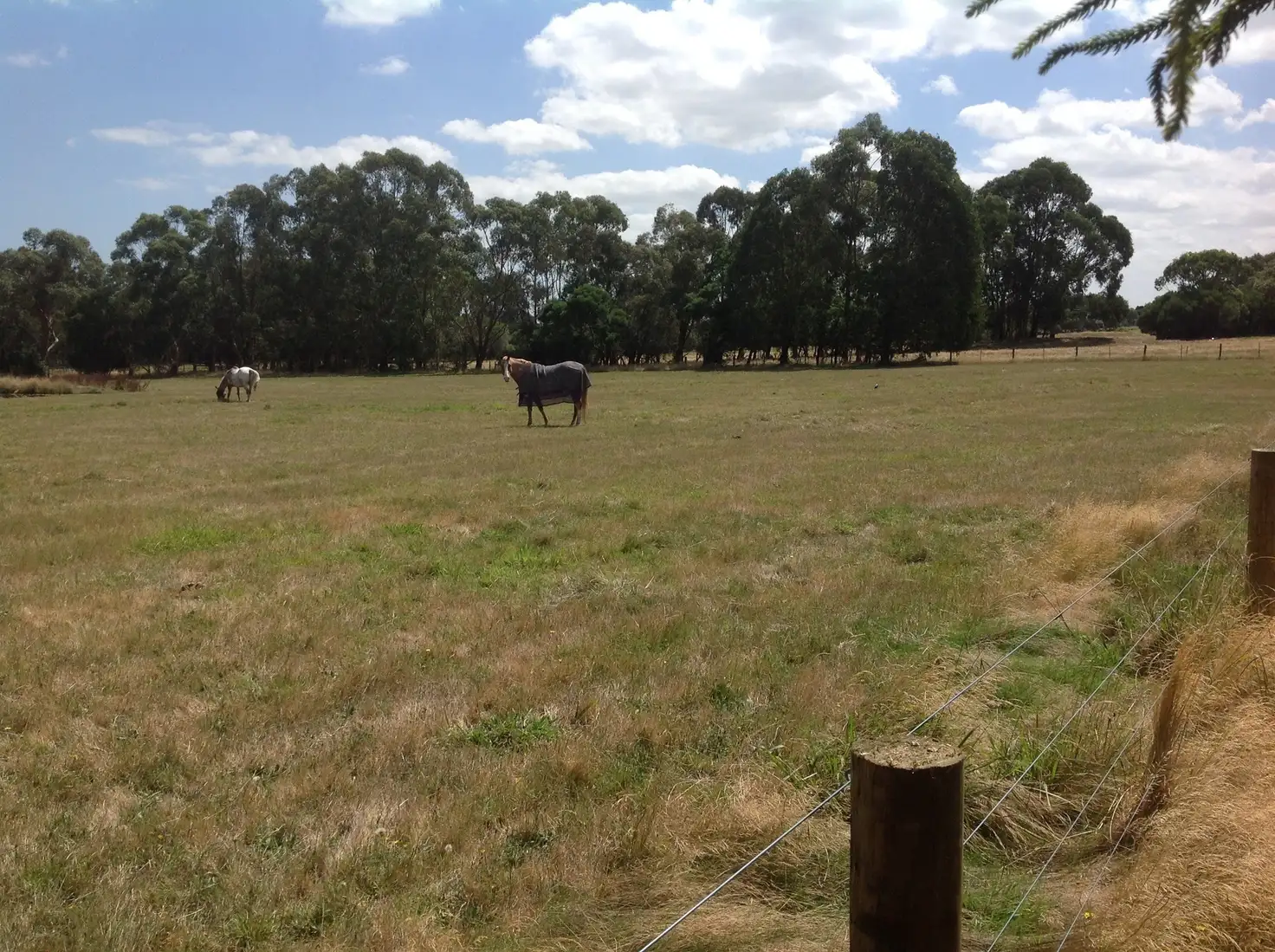 Main view of Homely rural property listing, Lot 2/565 Lynnes Road, Wattle Bank VIC 3995