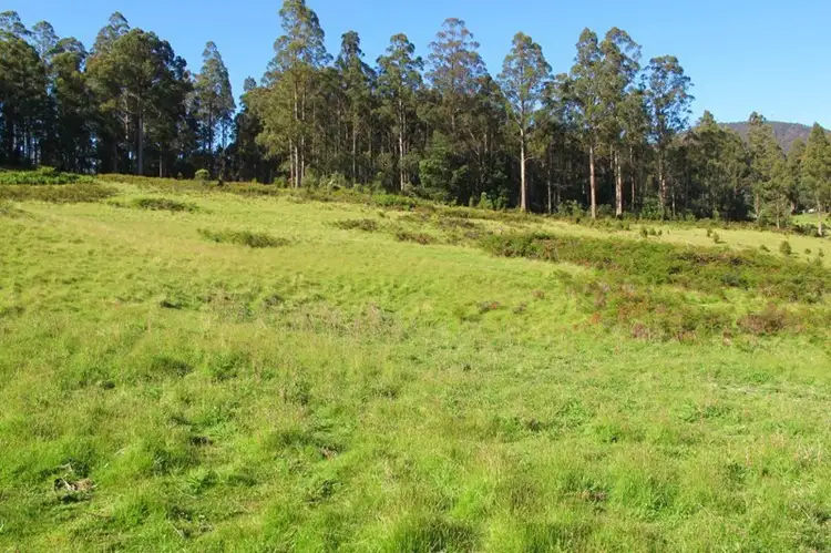 Fourth view of Homely land listing, Halls Track Road, Pelverata TAS 7150