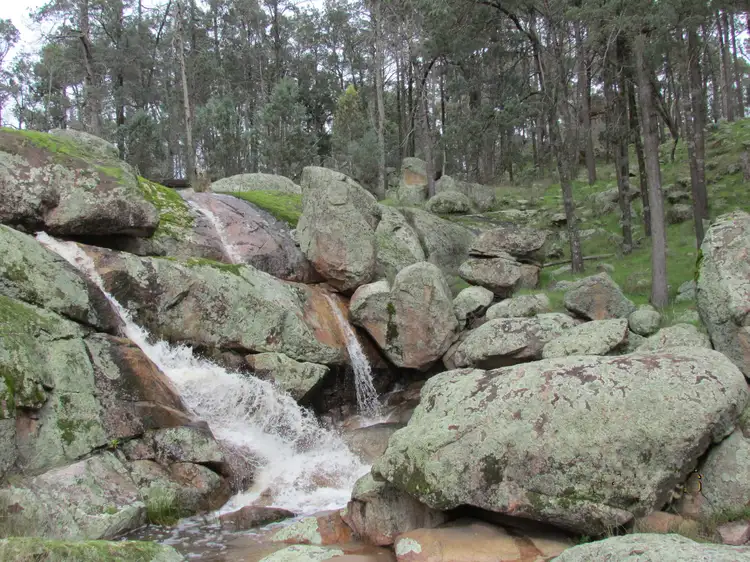 Fifth view of Homely rural property listing, 263 Ivydale Rd, Gregadoo NSW 2650