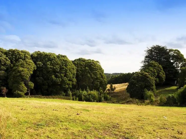 41 Great Ocean Road, Lavers Hill VIC 3238