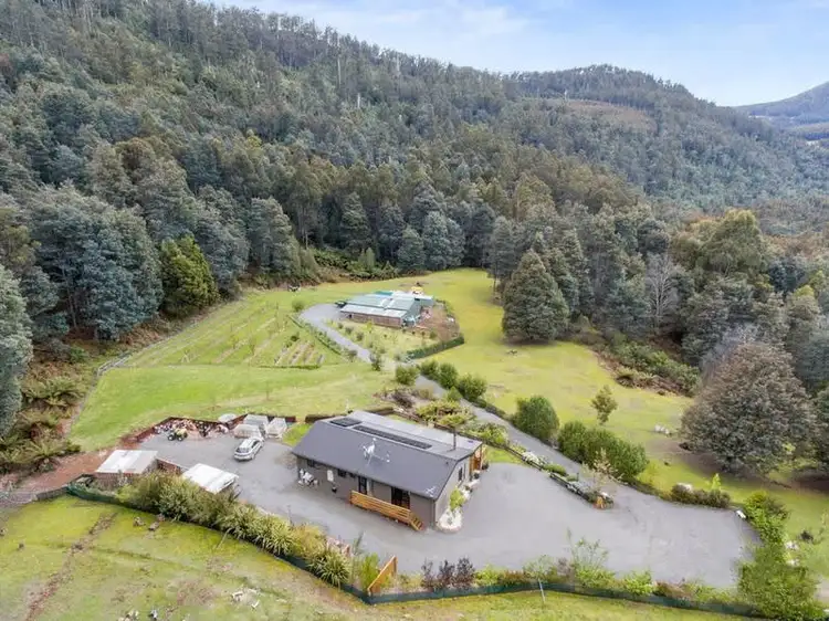 Main view of Homely house listing, 1010 Halls Track Road, Pelverata TAS 7150