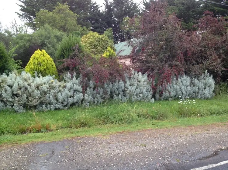 Main view of Homely house listing, 2250 Winchelsea-Deans Marsh Road, Deans Marsh VIC 3235