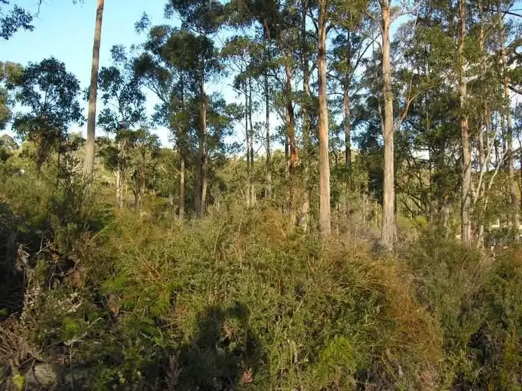 Fourth view of Homely land listing, 144A Mistly Hills Road, Mountain River TAS 7109