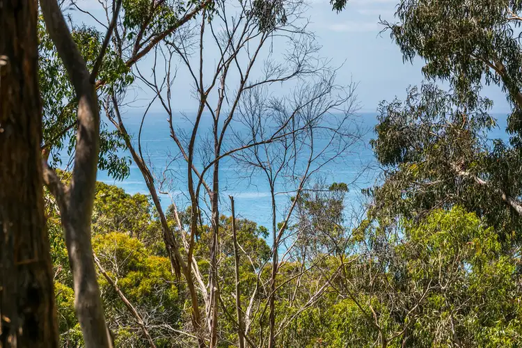 Second view of Homely house listing, 13 Cassidy Drive, Kennett River VIC 3234