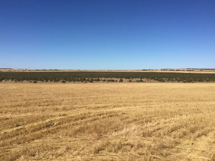 Fifth view of Homely rural property listing, 9 Beamont Road, Mullewa WA 6630