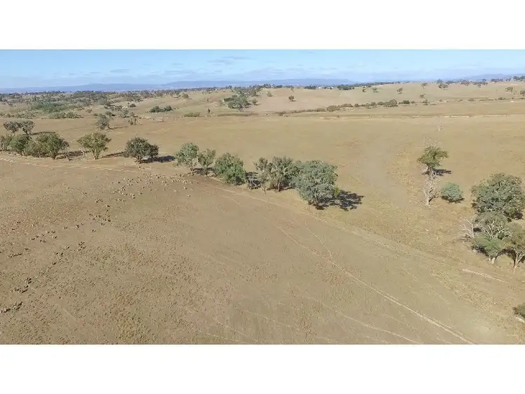 Sixth view of Homely rural property listing, Address available on request