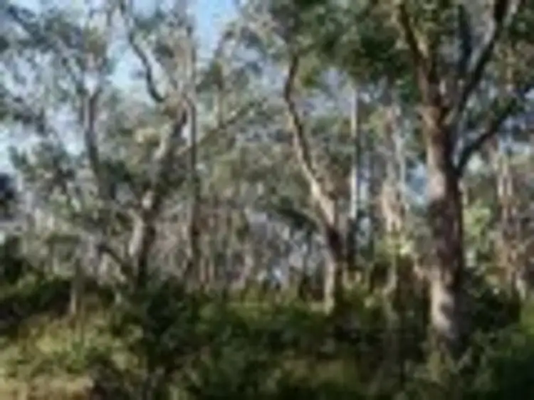 Main view of Homely land listing, 21 Durimbil Avenue, Wye River VIC 3221