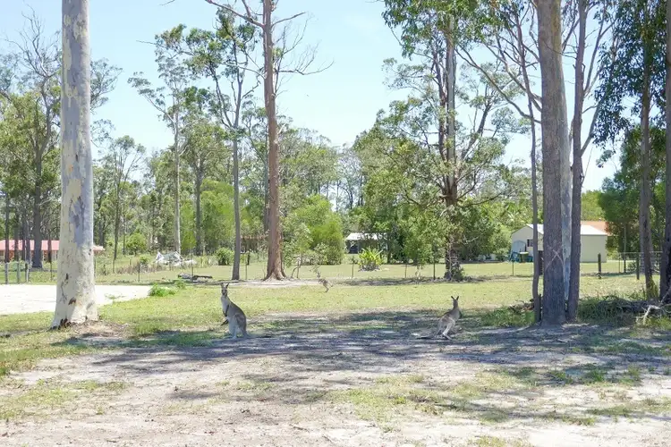 Sixth view of Homely land listing, 22 King Parrot, Gulmarrad NSW 2463
