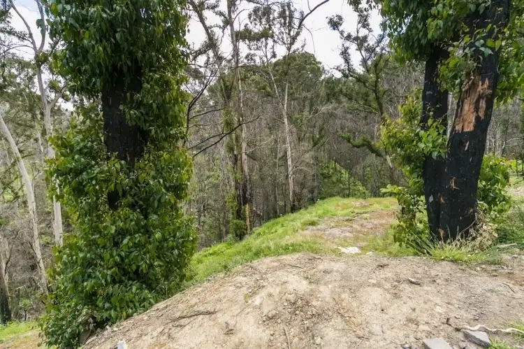 Second view of Homely land listing, 41 Riverside Drive, Wye River VIC 3234