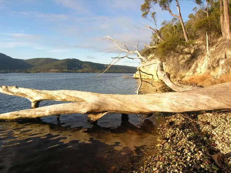 Third view of Homely house listing, 107 Esperance Coast Road, Surges Bay TAS 7116