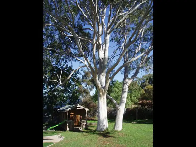 Second view of Homely house listing, 8 Parkers Road, Gawler Belt SA 5118