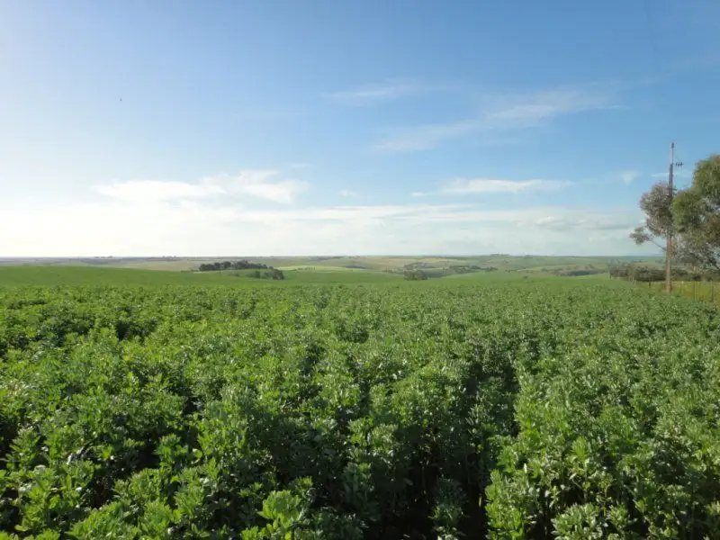 Main view of Homely land listing, Address available on request