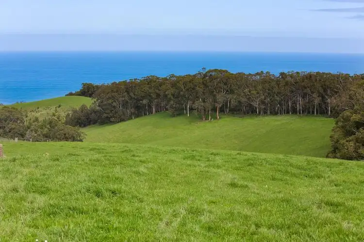 Main view of Homely house listing, 415 Sunnyside Road, Wongarra VIC 3221