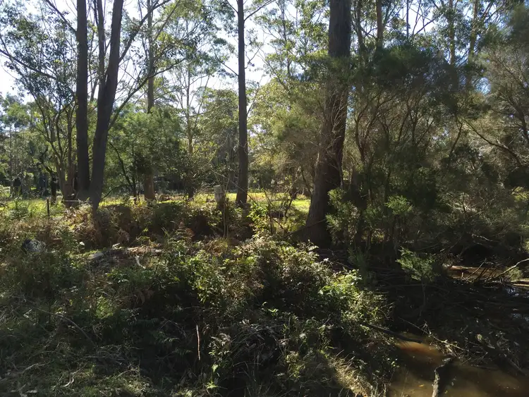 Third view of Homely rural property listing, Lot 21 Lemon Tree Creek Road, Lake Tabourie NSW 2539