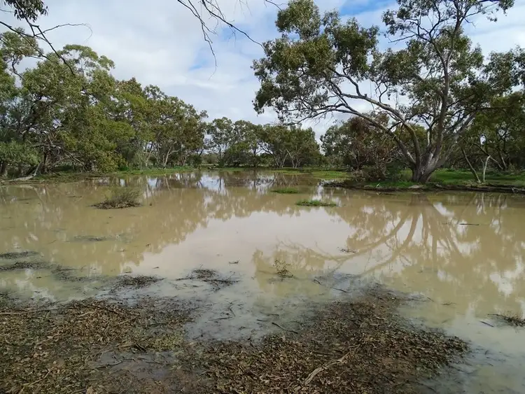 Third view of Homely rural property listing, - Coolaburra, Brewarrina NSW 2839