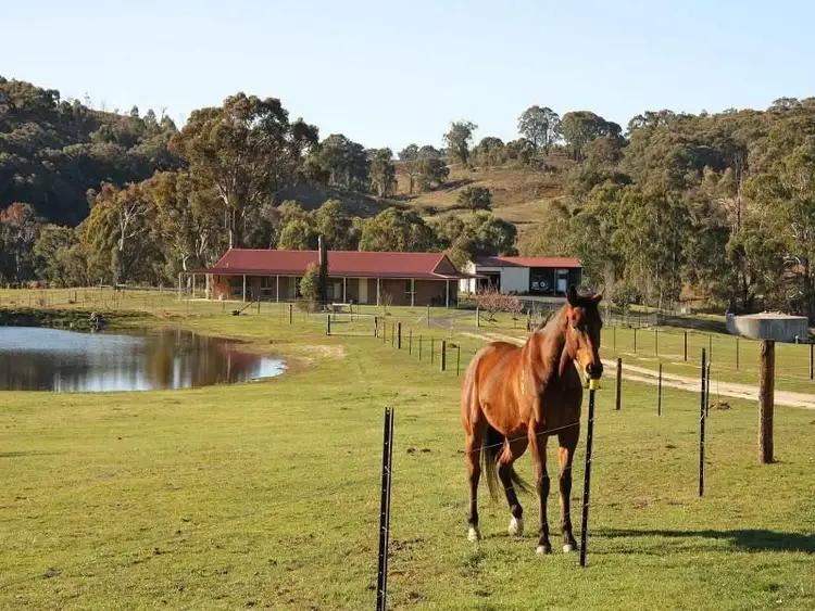 Third view of Homely rural property listing, 2412 Burrendong Way, Mullion Creek NSW 2800