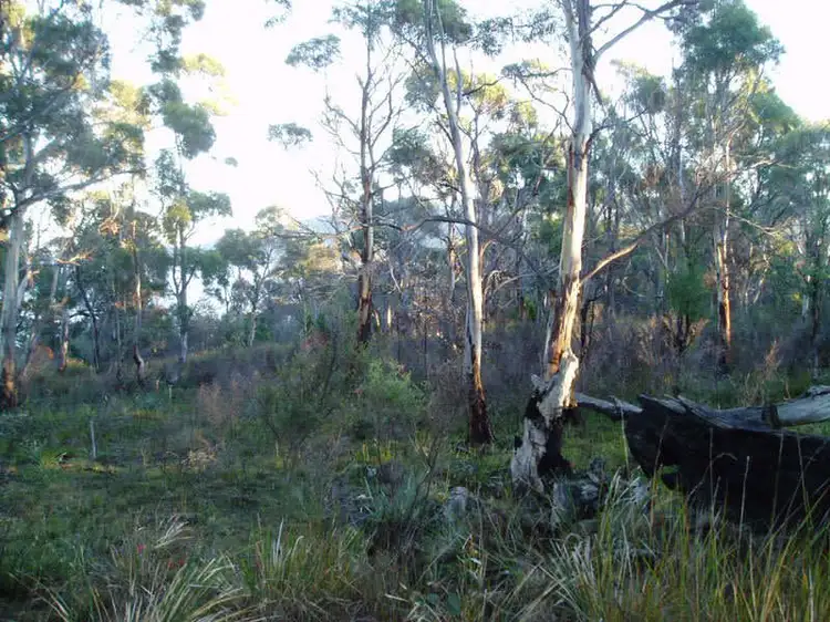 Seventh view of Homely land listing, Lot 6 Matthew Flinders Drive, Alonnah TAS 7150