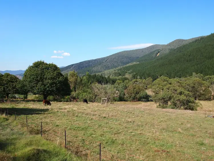 Sixth view of Homely house listing, 359 Morses Creek Road, Wandiligong VIC 3744