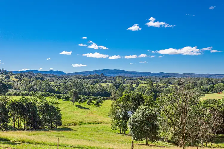 Second view of Homely rural property listing, 500 Duncan Road, Dunoon NSW 2480