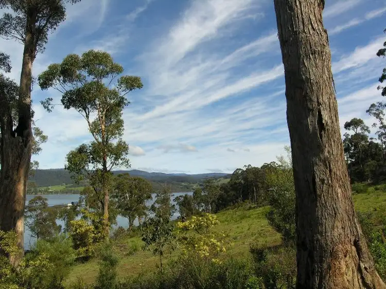 Fifth view of Homely land listing, Lot 1 Cygnet Coast Road, Petcheys Bay TAS 7109