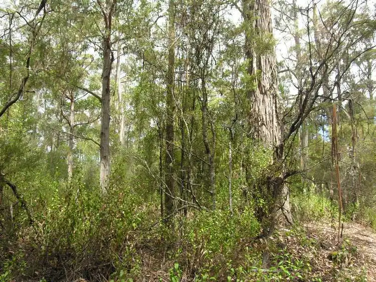 Fourth view of Homely land listing, Lot 1 Toby's Hill Road, Cygnet TAS 7112