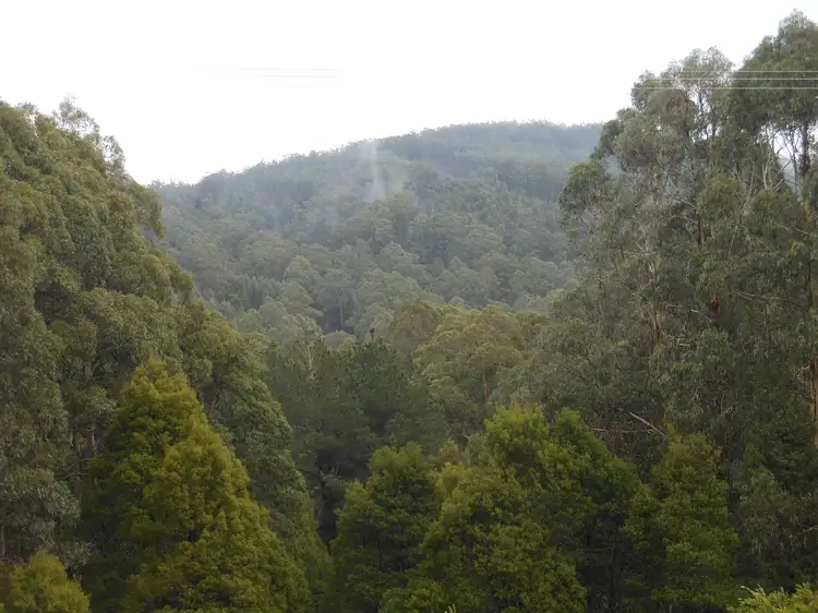 Third view of Homely house listing, 870 Forrest Apollo Bay Road, Barramunga VIC 3249