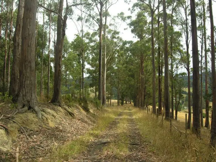 Second view of Homely land listing, Off Huon Highway, Dover TAS 7117