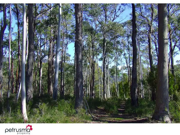 Main view of Homely land listing, 116 Jefferys Track, Lachlan TAS 7140