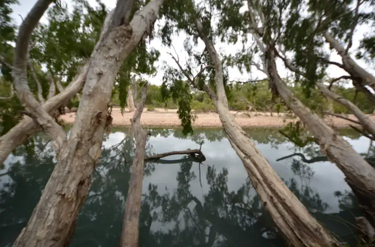 120 Toolakea Beach Road, Bluewater QLD 4818