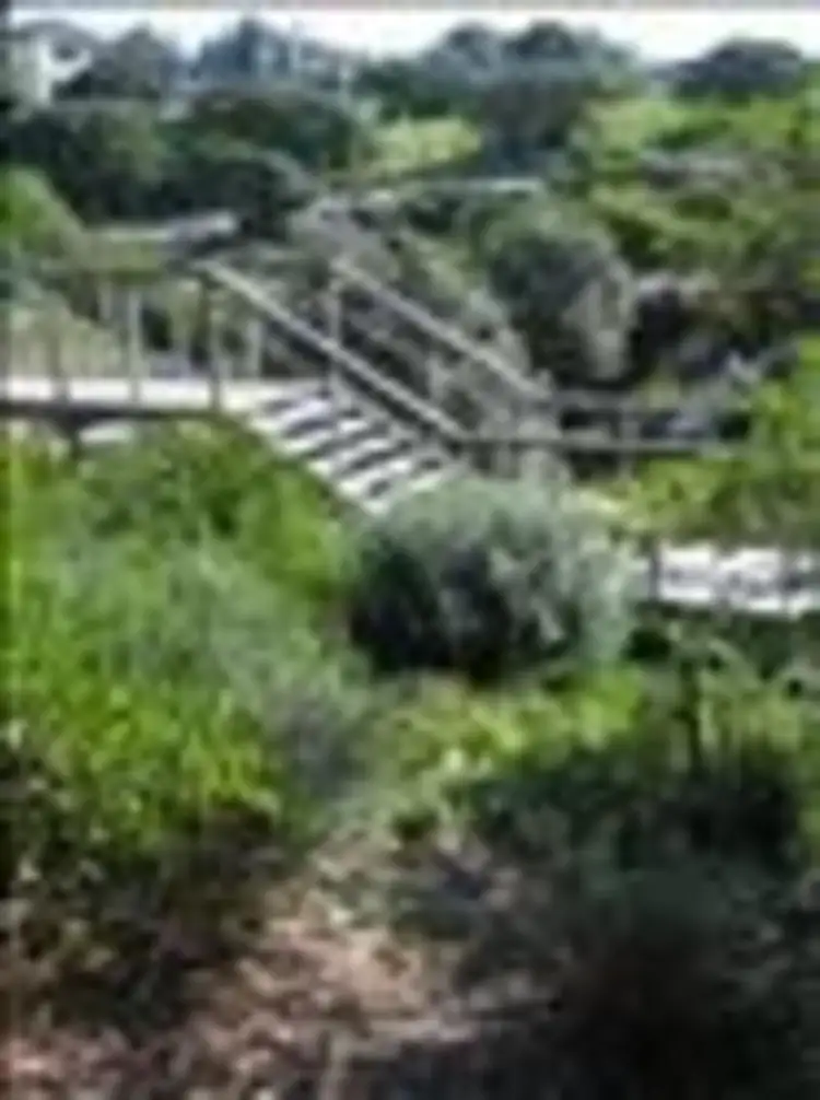 Seventh view of Homely house listing, 13 Kimberley Street, Vaucluse NSW 2030